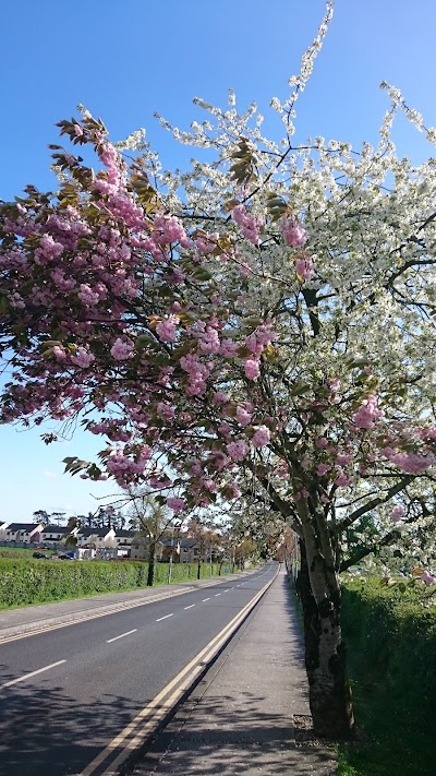 Photos of Mungret Park