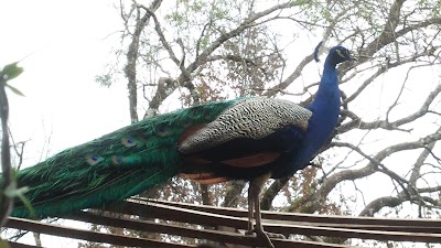 Photos of Camping Do&ntilde;a Ana
