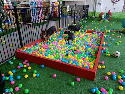 Photos of PETstock Pakenham