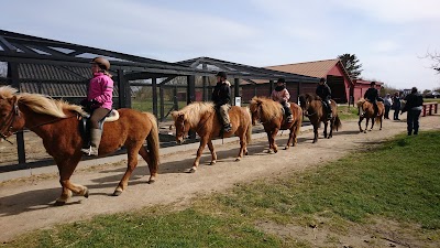 Photos of Skallerup inlanddunes and Klithuse