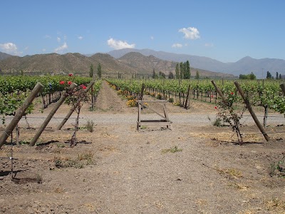 Photos of Vi&ntilde;a San Esteban