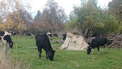 Photos of Backcountry New Zealand