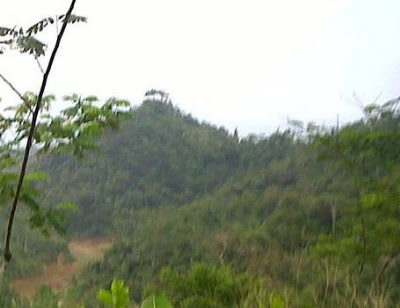 Photos of Bukit "Pasir Kotok"