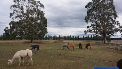 Photos of Farmers Corner