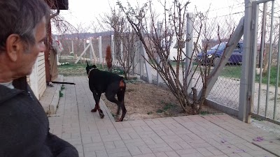 Photos of Kicelj Panorama