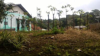 Photos of Kua