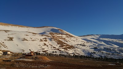 Photos of Al Arz - Restaurant