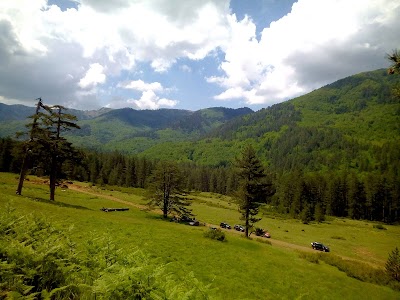 park