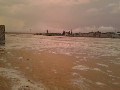 Photos of Office El Khabar