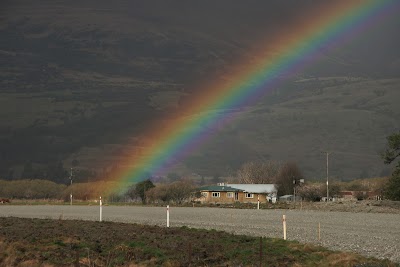 Photos of High Country Horses