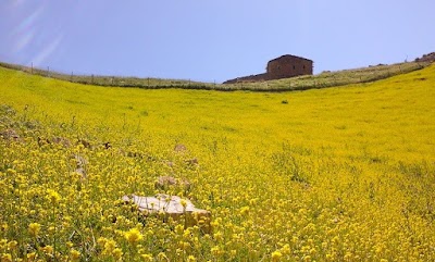 Photos of قصبة يلمان