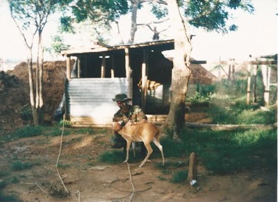Photos of Batallon de Ingenieros Rafael Navas Pardo Adscrito a la brigada N&bull;18