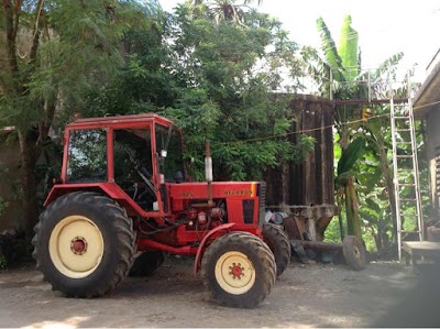 Photos of គោឡើង​ភ្នំ