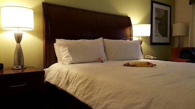 Photos of Hilton Garden Inn Queens/JFK Airport
