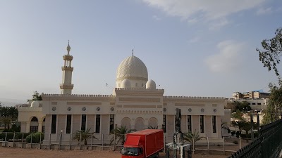 Photos of Tunisian Hammamet Gardens