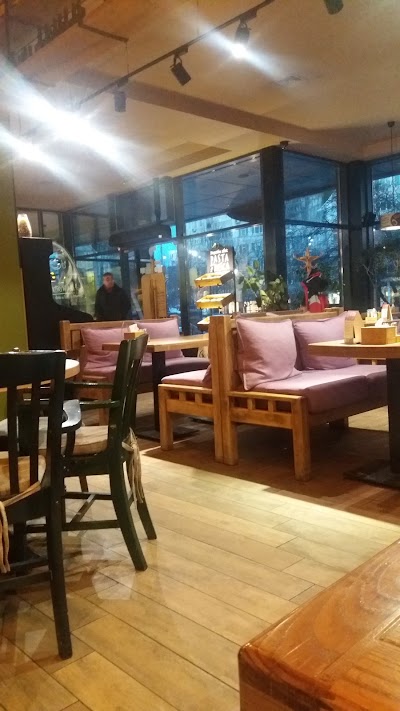 Photos of Oliva