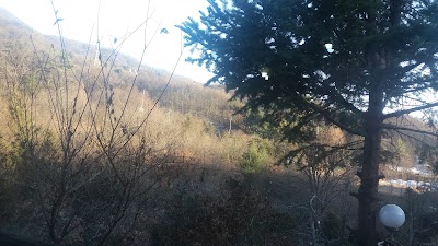 Photos of 광릉수목원 자동차극장