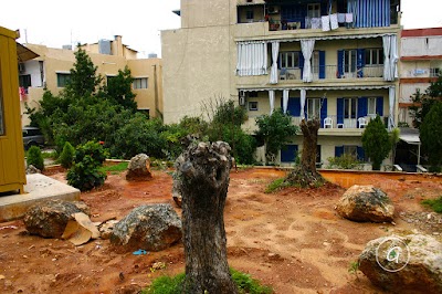 Photos of Garden