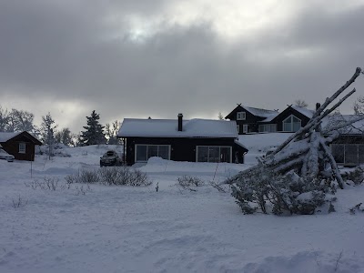 lodging