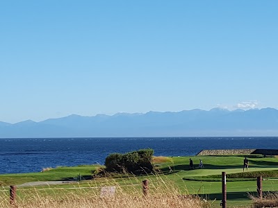 Photos of McNeill Bay