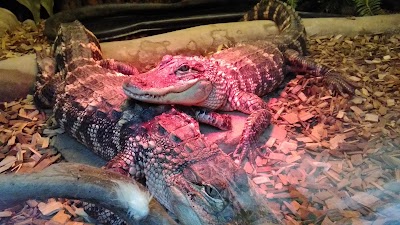 Photos of Zoopark