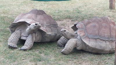 Photos of Potawatomi Zoo