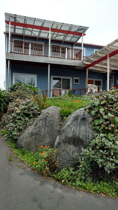 Photos of The Lazy Shag - YHA