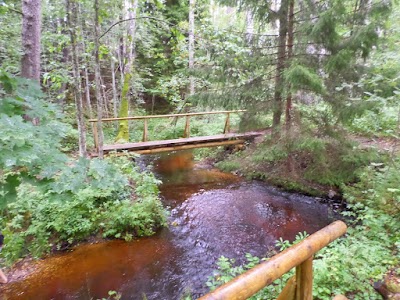 Photos of RMK Vanaj&otilde;e oru l&otilde;kkekoht