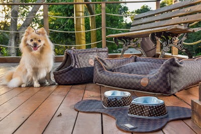 Photos of Pet Free Cascavel