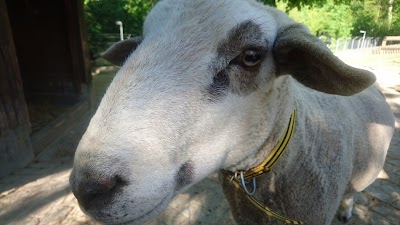 Photos of Parc au animaux du bois de la b&acirc;tie