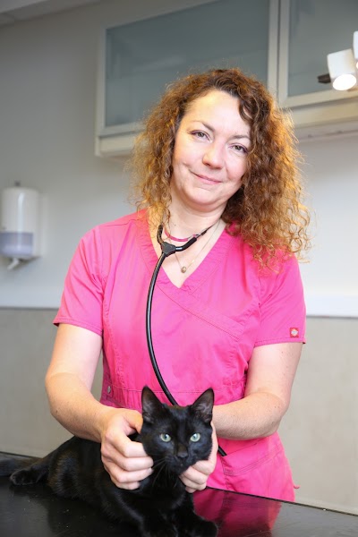 Photos of Centre V&eacute;t&eacute;rinaire MedicAnimalia