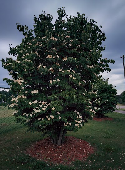 Photos of Rabun County Recreation