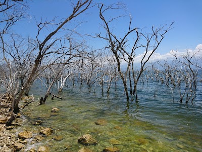 Photos of Lago Enriquillo