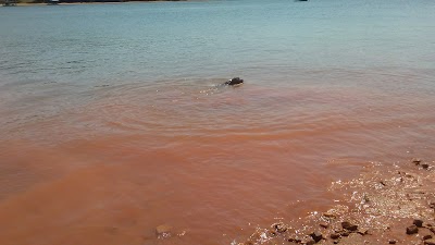 Photos of Sardis Creek Park