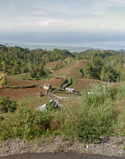 Photos of The apple orchard Muntea