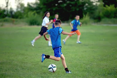 Photos of Clubul Sportiv Costești
