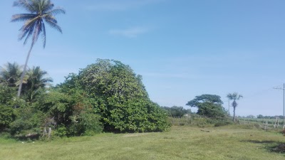 Photos of La Choza Chula