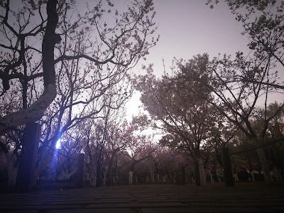 Photos of Botanical Garden
