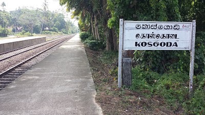 Photos of Kosgoda