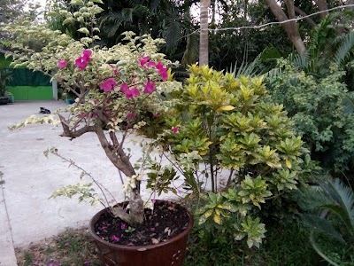 Photos of Kyi Thar Aye Chan Garden