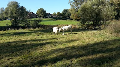 Photos of Bivak- en Kampeercentrum "'t Zinkviooltje" B.V.
