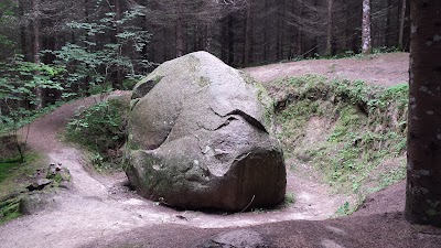Photos of Pokaiņi Forest
