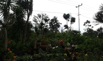 Photos of Taman Bunga Cihideung Lembang