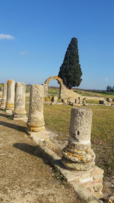 Photos of Banasa (Colonia Iulia Valentia Banasa)