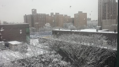 Photos of LIU- Brooklyn
