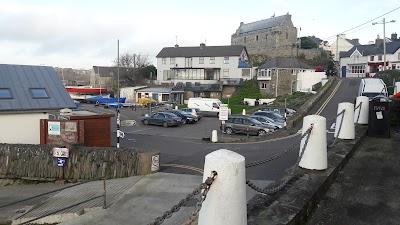 Photos of Whale Watch West Cork