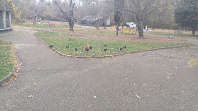 Photos of Зоопарк Ловеч
