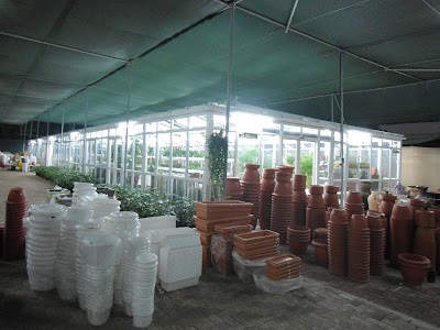Photos of Wahat Al Sahraa Nursery