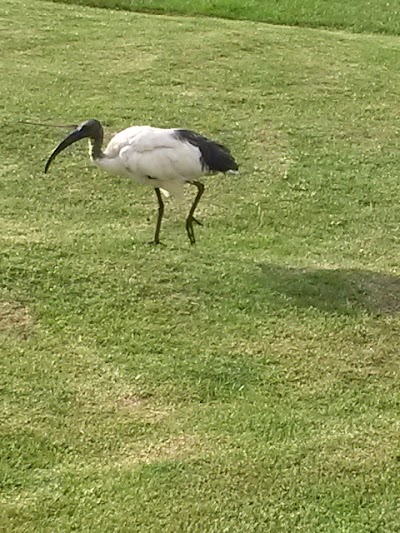 Photos of Drakensberg Gardens Golf & Leisure Resort