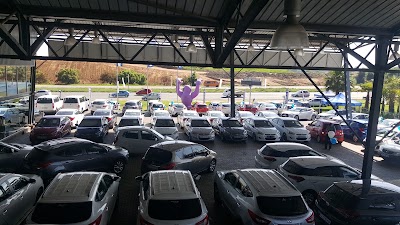 car-dealer